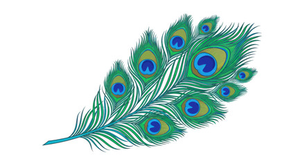 Obraz premium Beautiful Peacock Feather with Vibrant Blue and Green Eyespot Detail