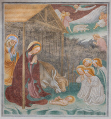 Naklejka premium NOVARA, ITALY - JANUARY 16, 2026: The fresco of Nativity in the church Chiesa di San Nazaro by gothic school from Lombardy from 15. - 16. cent.