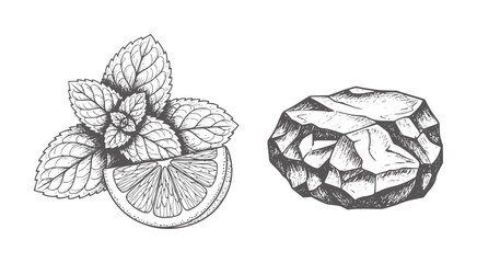 Hand drawn mint leaves and lemon slice next to rough stone © Yaseen Ali