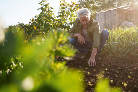 Man working in a sustainable garden during summer