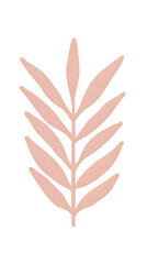 Fototapeta premium Pink abstract botanical leaf pattern on white