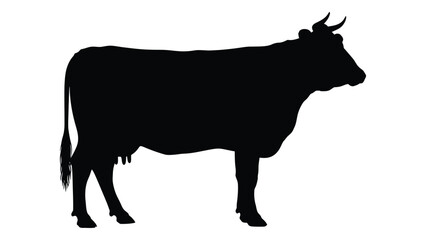 A black silhouette of a cow standing in profile against a white background, showcasing its distinctive horns and tail in a simple yet striking visual representation. © MDRaisul