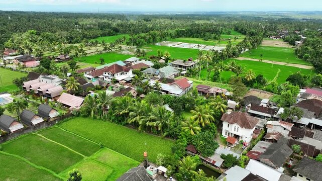 Teal-domed mosque punctuates a tight rooftop cluster bordered by rice fields, Lombok, Nusa Tenggara Barat