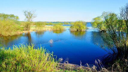 Obraz premium Spring background - landscape with trees at the bank of the blue river in sunny day