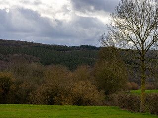 Obraz premium Dramatic stormy clouds over rural countryside landscape in Hautes Fagnes, Belgium with green fields and bare trees