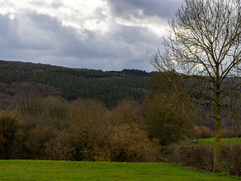 Dramatic stormy clouds over rural countryside landscape in Hautes Fagnes, Belgium with green fields and bare trees