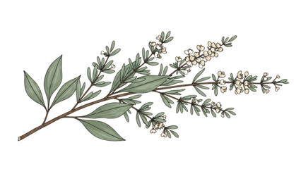 Obraz premium A serene depiction of a blooming branch with green leaves and small flowers captured in a natural setting from a close-up viewpoint.