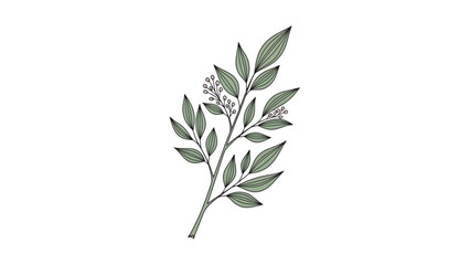 Obraz premium A serene illustration of a flowering branch with green leaves and white blooms.