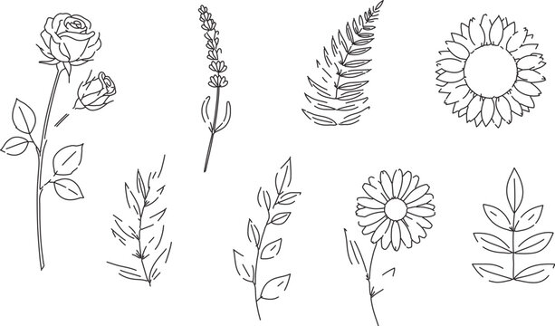 Set of 8 hand-drawn outline flower and leaf vector illustrations. Minimalist botanical line art collection for wedding invitations and branding.