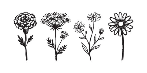 Collection of hand drawn wild flowers sketches including marigold and chamomile in black ink line art vector illustration