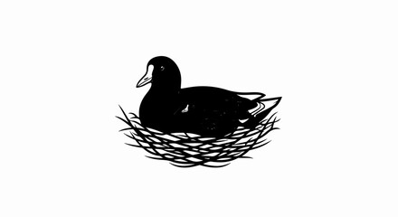Fototapeta premium Black bird sitting on a nest of twigs
