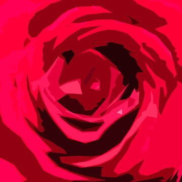 RED ROSE - A beautiful flower decorating the garden