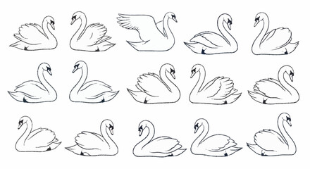 Collection of elegant swan illustrations in various poses. © barokah