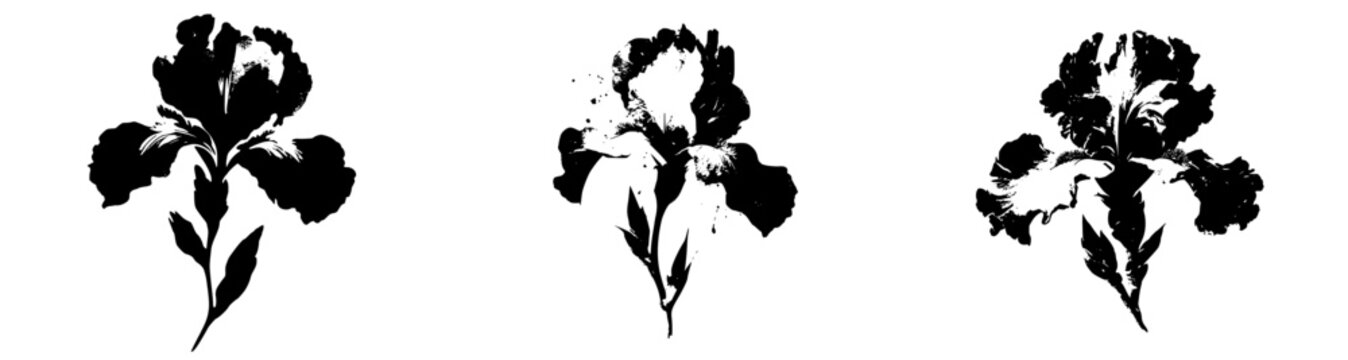 Mystical Silhouette of a Watercolor Iris Flower