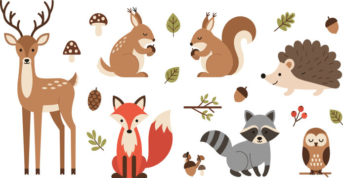 Cute Woodland Forest Animals Cartoon Vector Set Featuring Deer, Fox, Squirrel, Hedgehog, Raccoon and Owl with Acorns, Leaves and Autumn Nature Elements.
