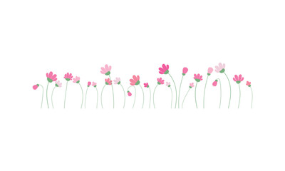 Fototapeta premium Horizontal floral border with pink wild flowers on long stems. Elegant spring meadow composition for wedding invitations, greeting cards, and romantic botanical designs. Isolated on white.