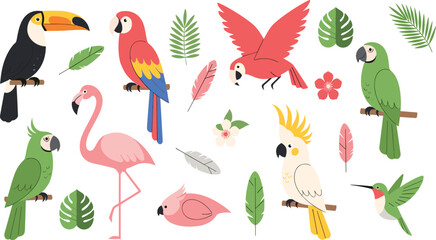 Fototapeta premium Cute Tropical Bird Cartoon Vector Set Featuring Toucan, Parrot, Flamingo, Cockatoo and Hummingbird with Feathers, Leaves, Flowers and Jungle Nature Elements.