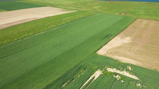 Drone shot of patchwork agricultural fields in the Normandy countryside, featuring green crops and plowed land under clear daylight.