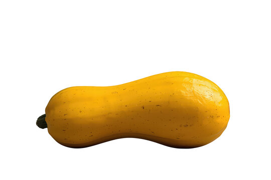 Yellow spaghetti squash, healthy fresh organic vegetable on transparent background, ideal for vegetarian diet concepts