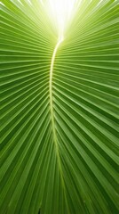 Obraz premium Vibrant Green Palm Leaf Texture with Bright Sunlight Creating a Natural Background.