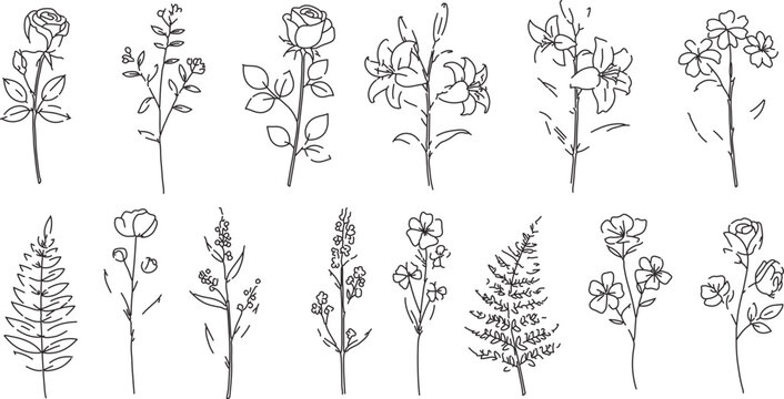 Set of 14 Hand-Drawn Outline Flower and Leaf Vector Icons for Botanical Designs, Wedding Invitations, and Nature-Themed Graphics