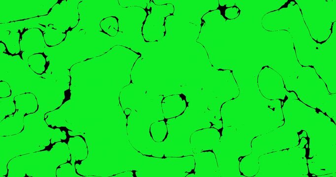 abstract green fluid swirls optical movement of glow line curved like liquid on crhoma key green screen background