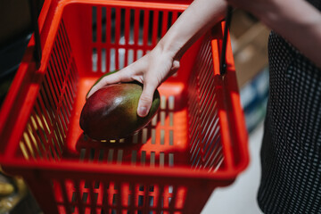 Naklejka premium Woman's hand places a ripe mango into a red shopping basket. Close-up view of a shopper adding fruit to a basket in a store.