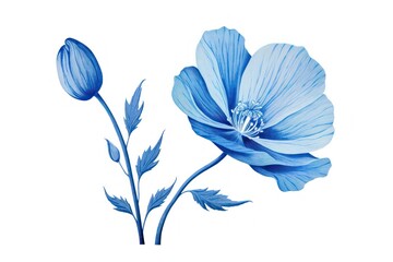 Naklejka premium Blue flower blossom petal plant.