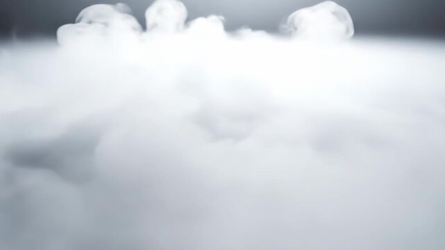 Dense white low-lying fog smoke rising ground in dark environment, for mystery, atmosphere, coldness, dramatic effect