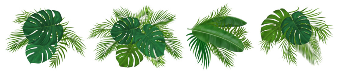 Tropical leaves composition set with palm fronds. Green realistic exotic jungle leaves for beach paradise decoration, summer invitations, travel designs. Vector illustration © wild