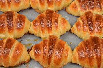 Freshly baked golden brown croissants arranged in rows on baking paper straight from the oven