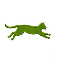 Fototapeta premium A green cat is running quickly on the ground