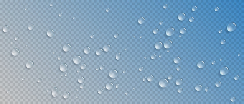 Realistic vector water drops overlay isolated on a blue transparent background. Water condensation on surface, light reflection and realistic shadow. 3d vector rain or shower drops. Pure liquid