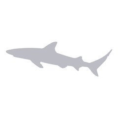 Fototapeta premium Blacktip Shark in Color Silhouette