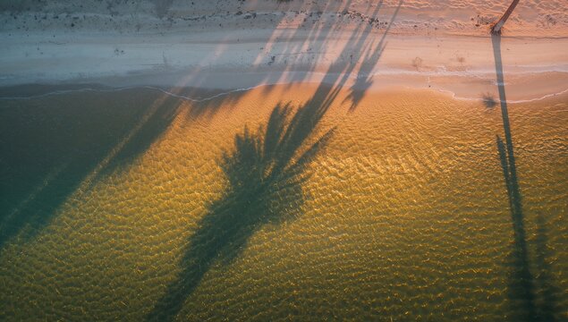 Aerial View of Palm Tree Shadows on Serene Beach at Sunset