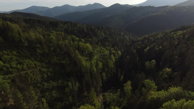 FPV drone flight skimming close to trees on a mountain hillside, weaving above green meadows and forest edge, revealing rolling ridges under bright blue sky.