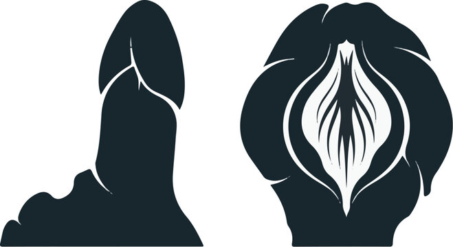 Stylized abstract representations of male and female reproductive anatomy