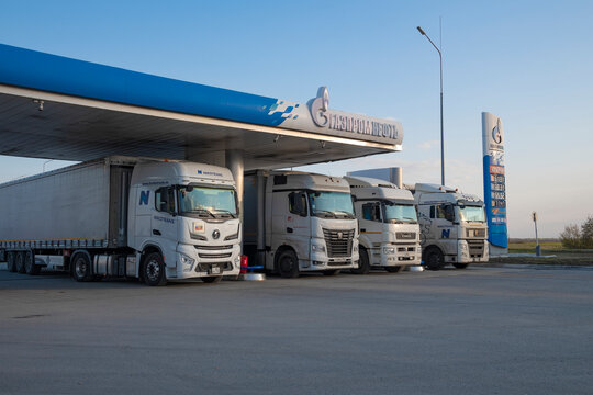 NOVOSIBIRSK REGION, RUSSIA - SEPTEMBER 20, 2025: Several mainline trucks at the Gazpromneft gas station in the early September morning