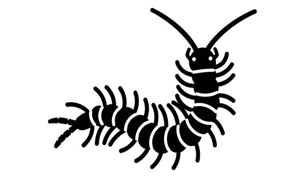 A black silhouette illustration of a centipede with multiple legs and antennae on a white background