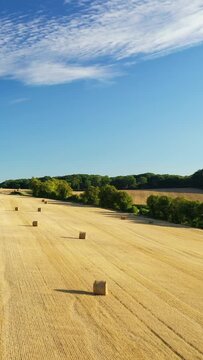 Golden hay bales scattered across a harvested field under a clear blue sky in the Nivernais countryside, France. Lush green trees border the rural landscape, evoking a peaceful agricultural scene.