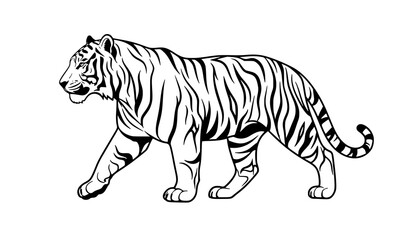 Obraz premium Stylized Tiger Outline Vector Illustration Design for Wildlife