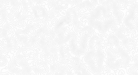 Subtle abstract white and light gray background with thin wavy lines, organic topographic pattern, clean minimalist texture design.