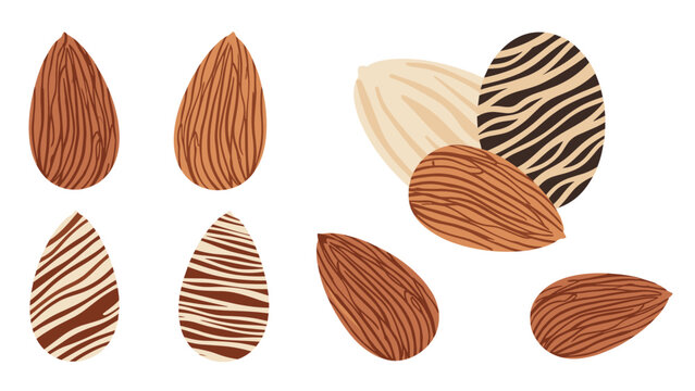 Assortment of whole and shelled almonds with decorative line patterns on a white background for health food themes.