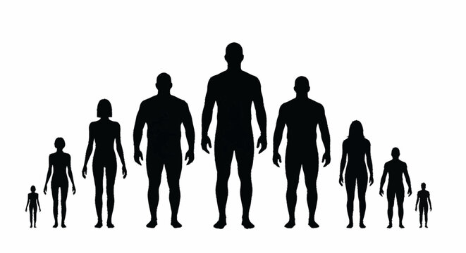 Diverse group of people silhouettes showing different heights.