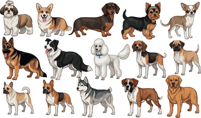 Different Dog Breeds Vector Set with Standing Domestic Dogs Realistic Pet Animals Collection for Veterinary and Pet Care Design © Shareful
