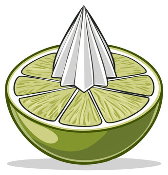 Vibrant green lime half with a citrus juicer reamer graphic illustration