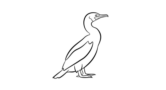 Line drawing of a cormorant bird in profile isolated on white background