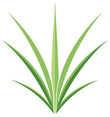 Obraz premium Abstract Stylized Green Grass Blades Growing Upward in a Fan Shape