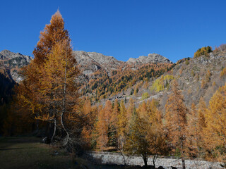 Fototapeta premium Autumn in the Alps. Chardonney, a hamlet of Champorcher, Aosta Valley, Alps, Italy.