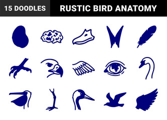 Fototapeta premium Hand-drawn avian anatomy and bird life elements for organic branding. Rustic, naive marker sketch illustrations featuring wings, feathers, and raptor profiles.